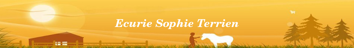 Ecurie Sophie Terrien